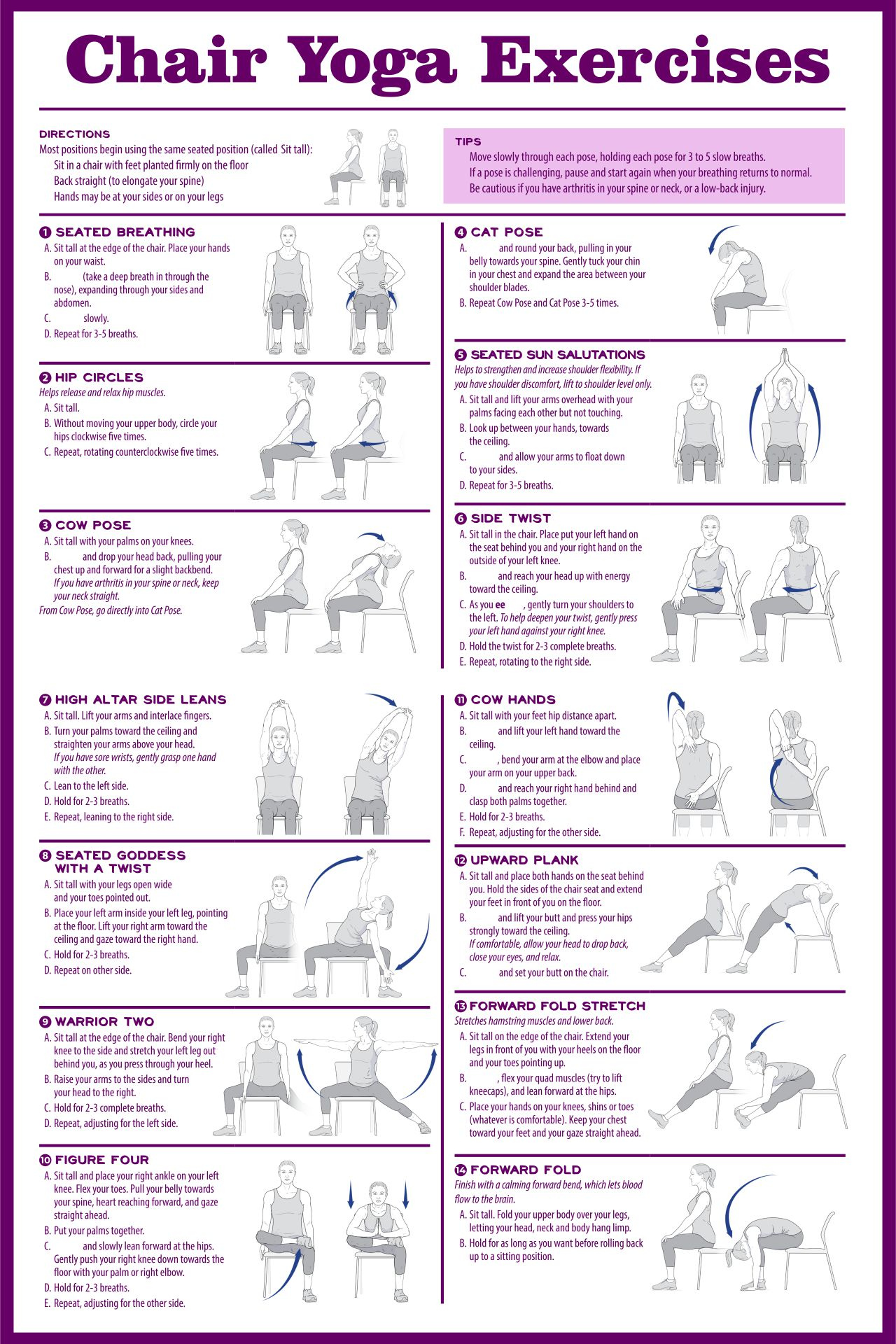 printable chair based exercises for the elderly seated chair